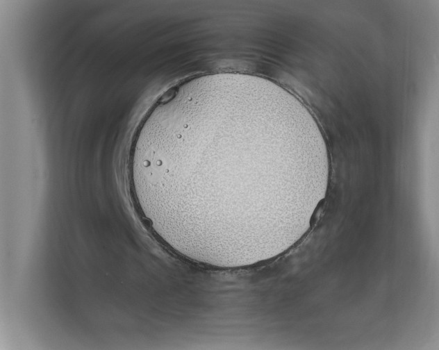 X0000111490241200908041148