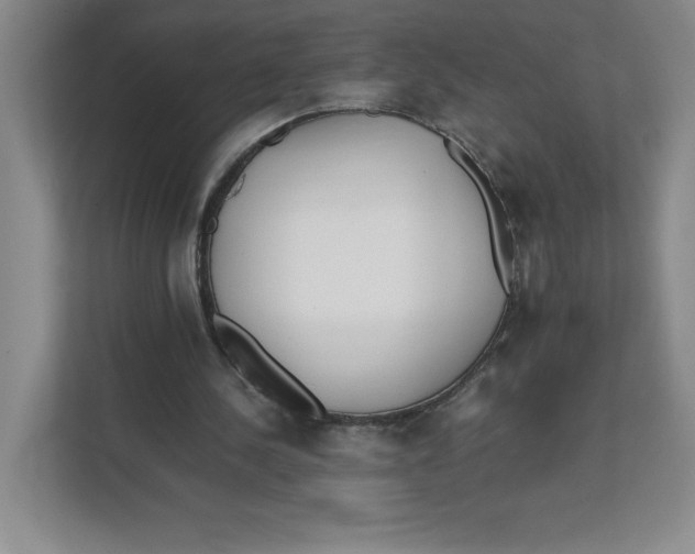 X0000111490244200908041148