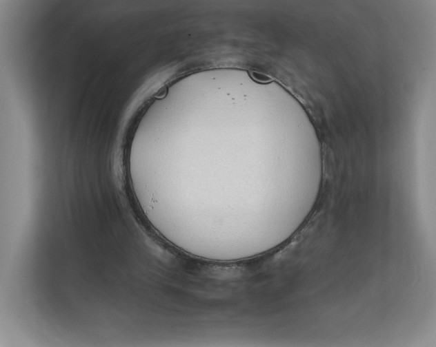 X0000111490245200908041148