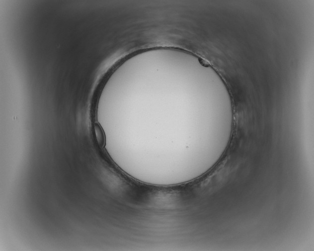 X0000111490248200908041148