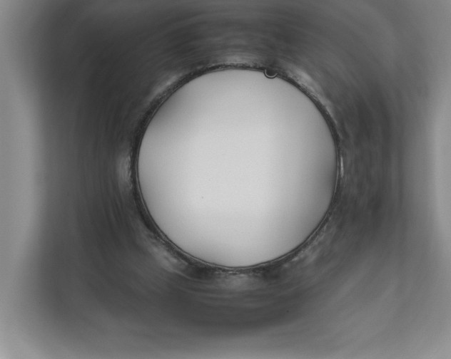 X0000111490249200908041148