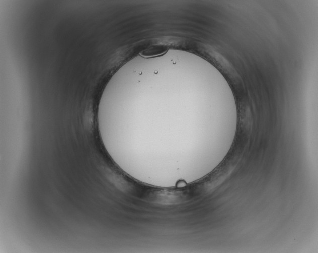 X0000111490261200908041148