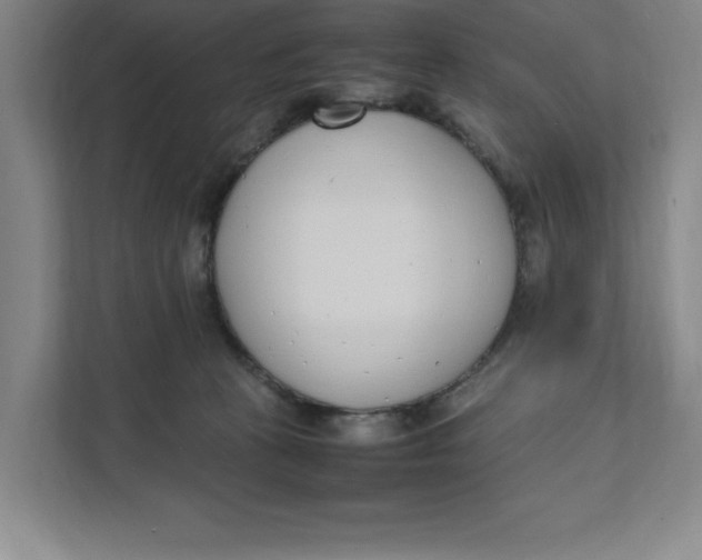 X0000111490273200908041148