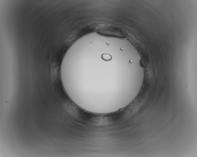 X0000111490276200908041148