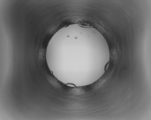 X0000111490280200908041148