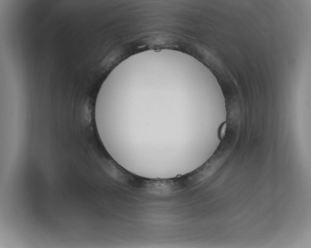 X0000111490282200908041148