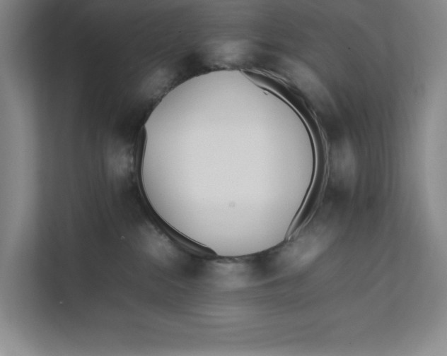 X0000111490284200908041148