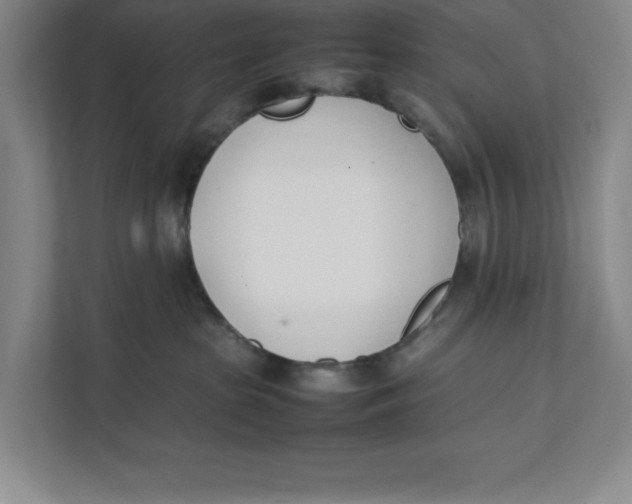 X0000111490285200908041148