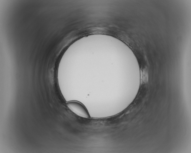X0000111490291200908041148