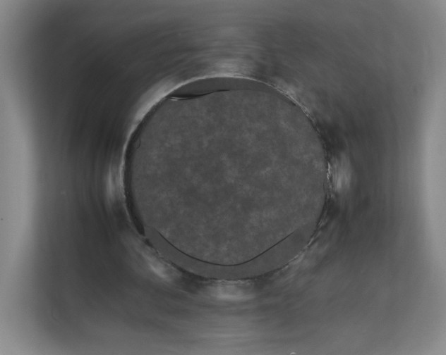X0000111490292200908041148