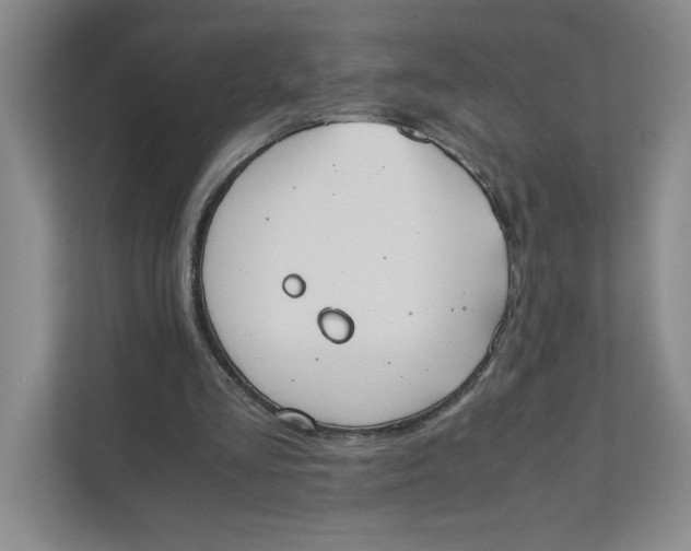 X0000111490293200908041148