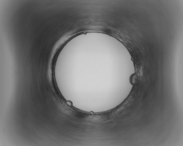 X0000111490294200908041148