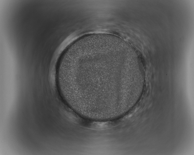 X0000111490295200908041148