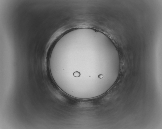 X0000111490296200908041147
