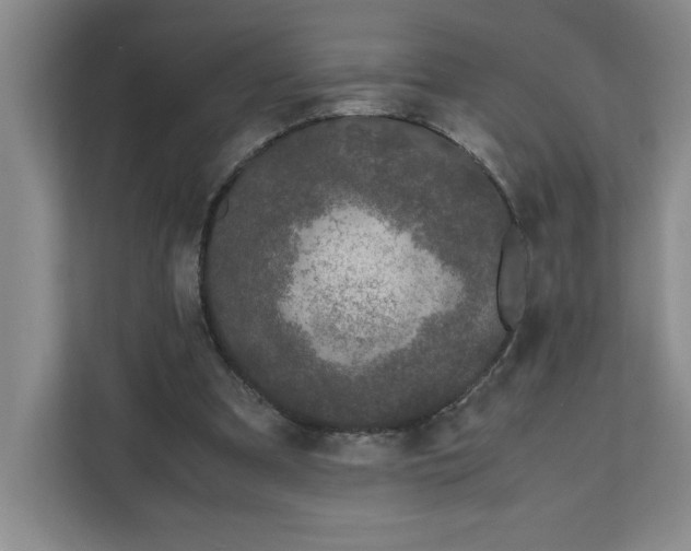 X0000111490297200908041147