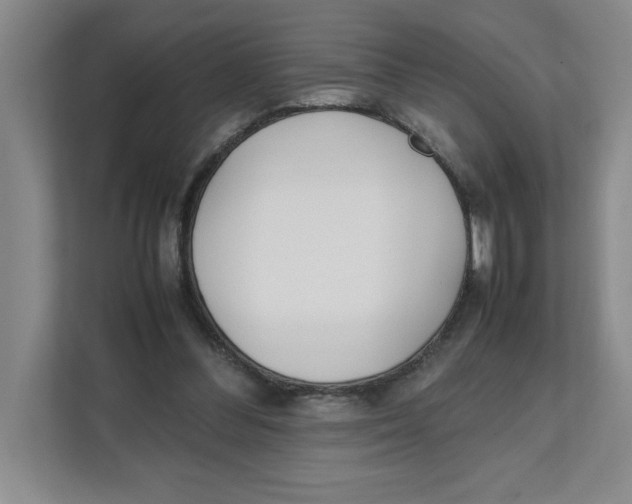X0000111490300200908041147