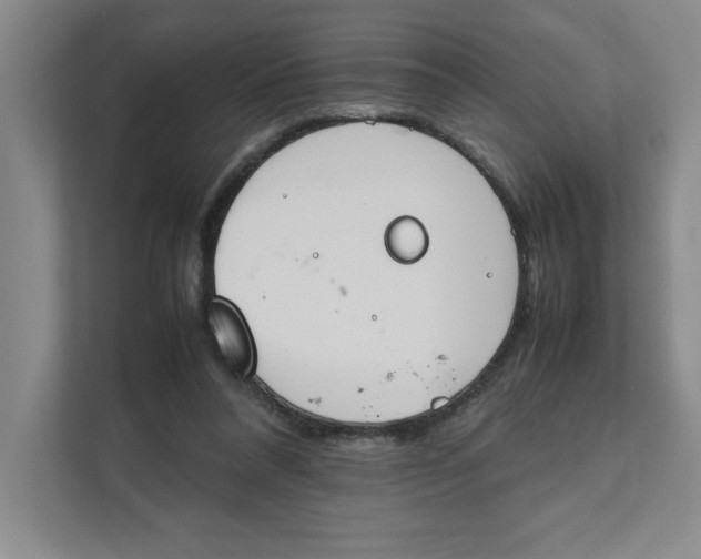 X0000111490304200908041147