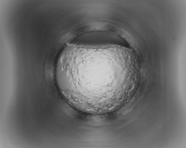 X0000111490305200908041147