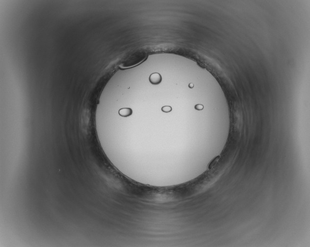 X0000111490308200908041147