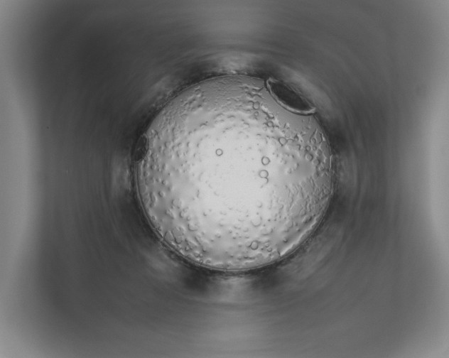 X0000111490313200908041147