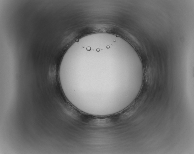 X0000111490314200908041147