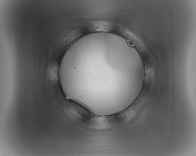X0000111490325200908041147