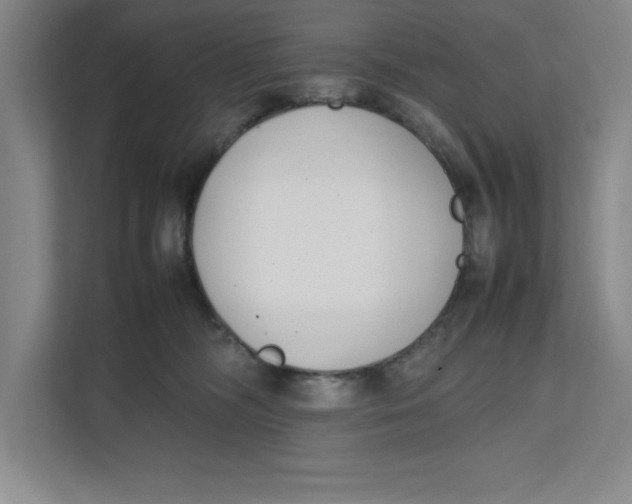 X0000111490326200908041147