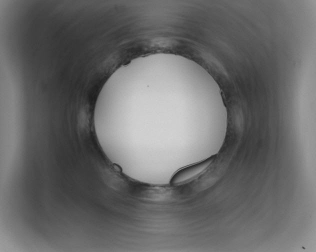 X0000111490328200908041147