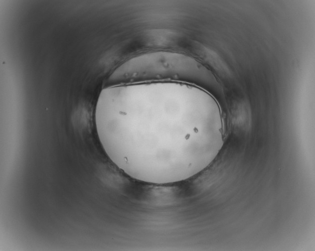 X0000111490332200908041147