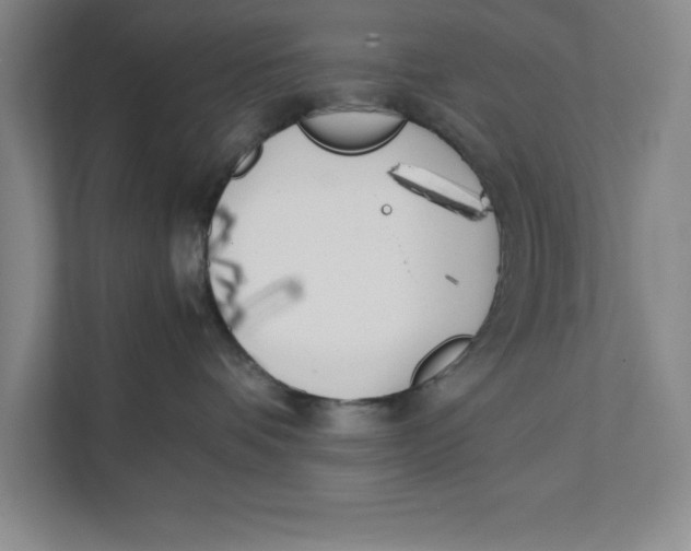 X0000111490336200908041147