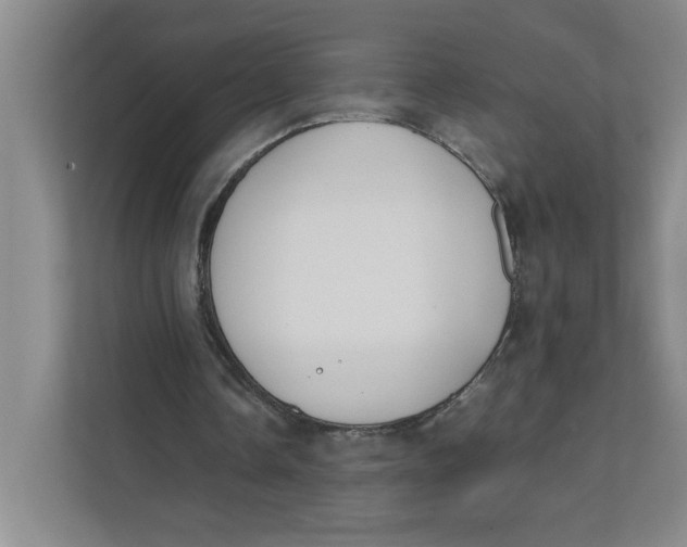 X0000111490338200908041146