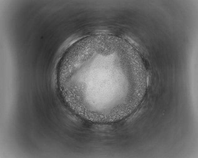 X0000111490339200908041146