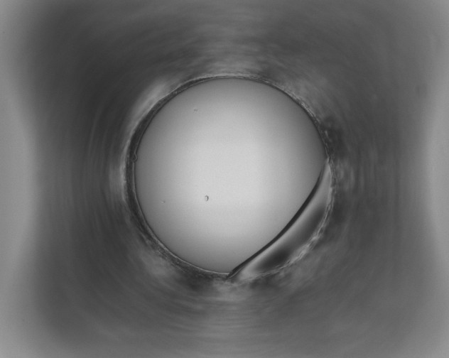 X0000111490340200908041146