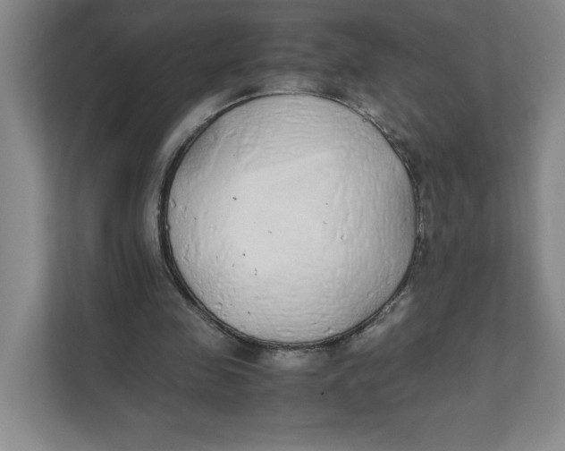 X0000111490341200908041146