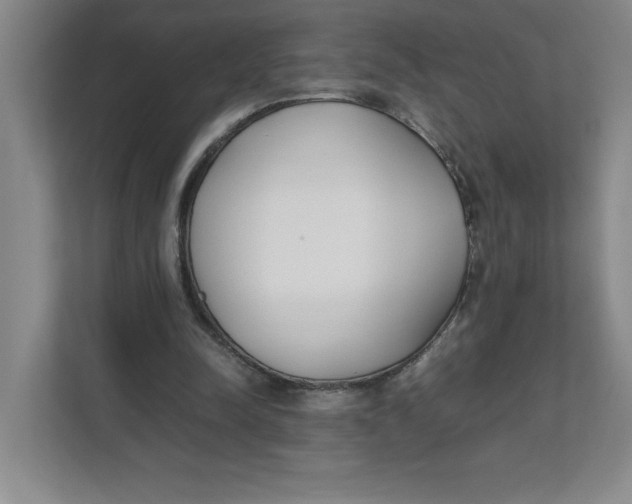 X0000111490342200908041146