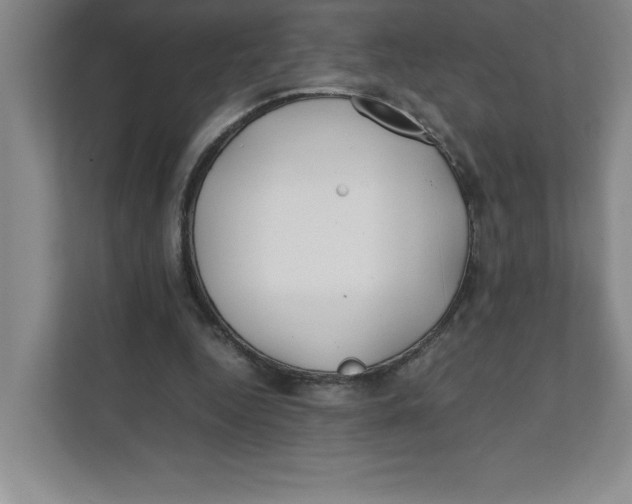 X0000111490344200908041146