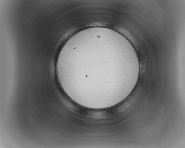 X0000111490349200908041147