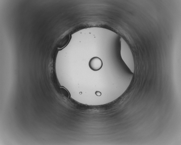 X0000111490356200908041147