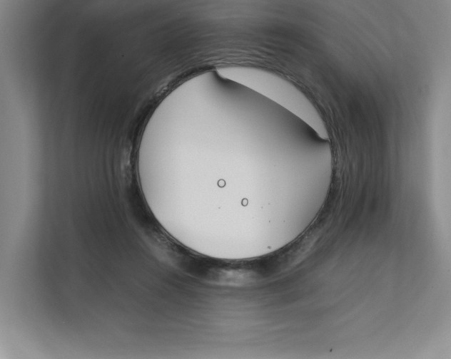 X0000111490360200908041147