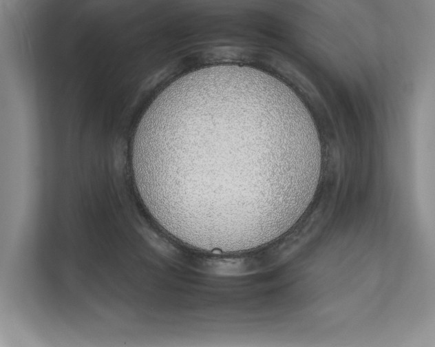 X0000111490361200908041147