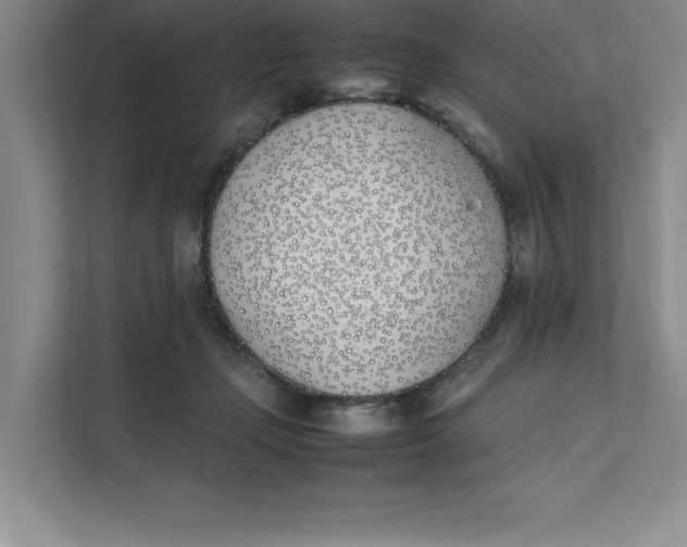 X0000111490365200908041147