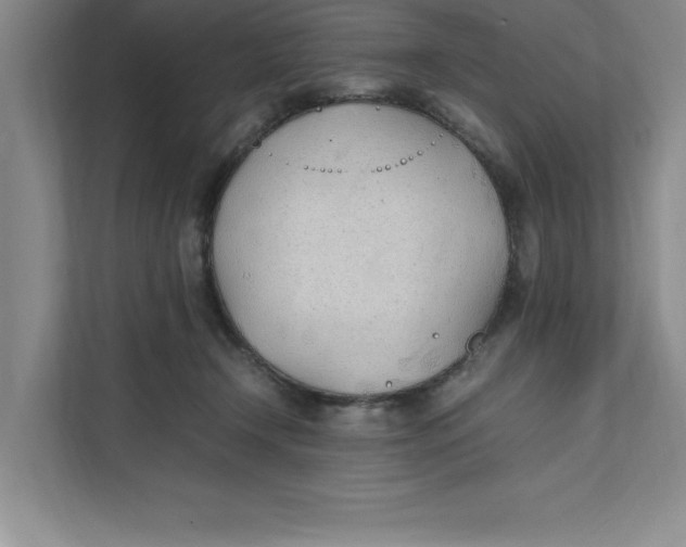 X0000111490366200908041147
