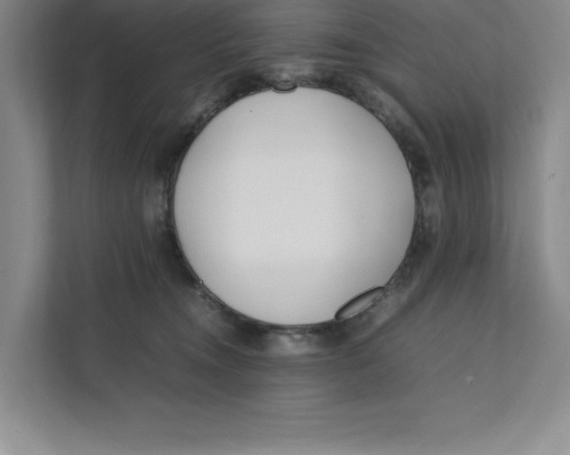 X0000111490372200908041147