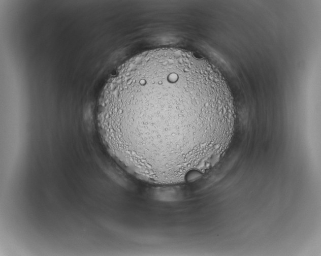 X0000111490373200908041147