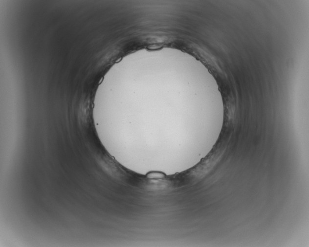 X0000111490376200908041147