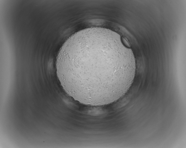 X0000111490377200908041147