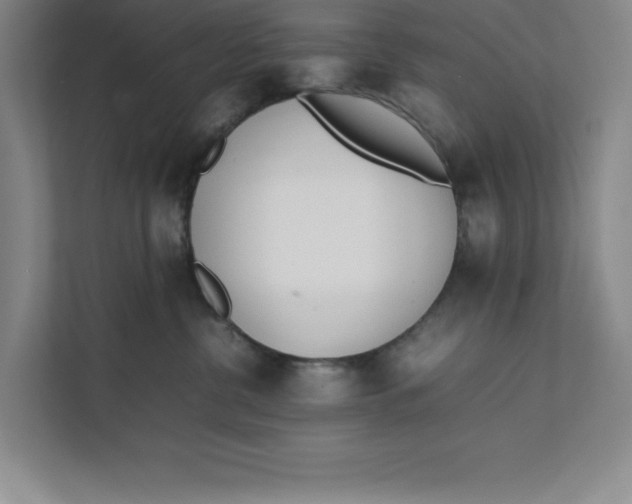 X0000111490380200908041147