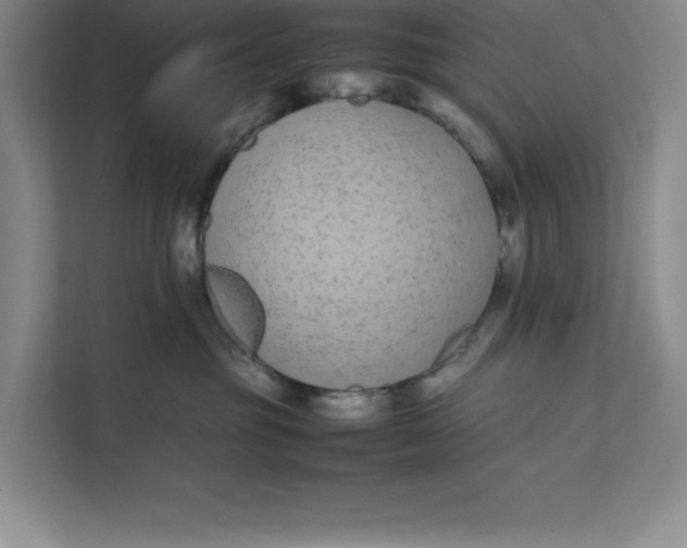 X0000111490381200908041147