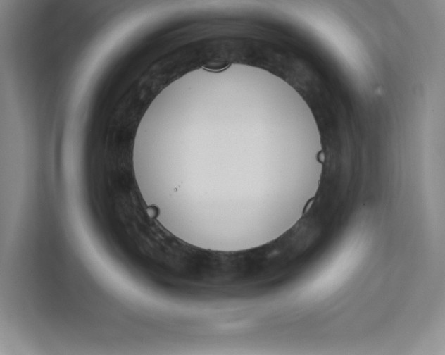 X0000111490383200908041147