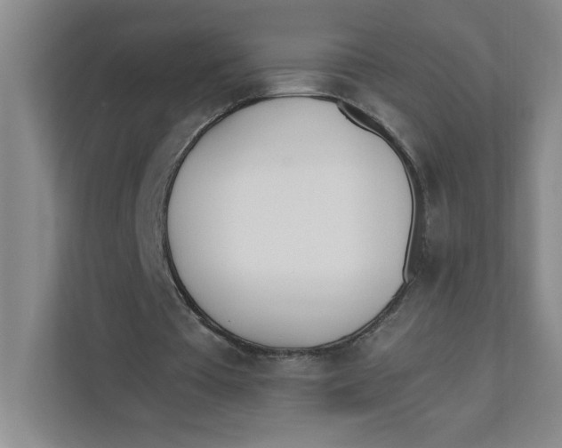 X0000111490385200908041146
